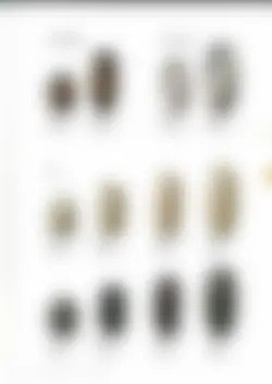 カタログページ hechimon vol.25-10