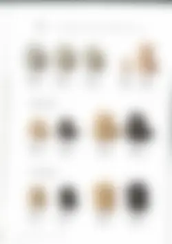 カタログページ hechimon vol.25-20