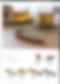 カタログページ hechimon vol.25-24