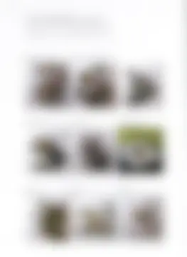 カタログページ MAGOKORO 37-004