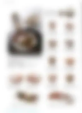 カタログページ MAGOKORO 37-034