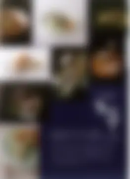 カタログページ MAGOKORO 37-064