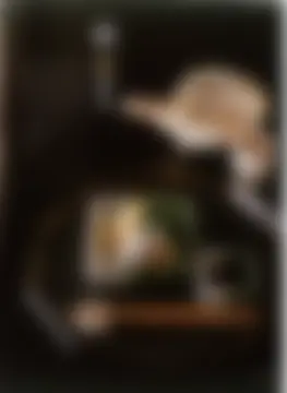 カタログページ MAGOKORO 37-066