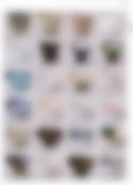 カタログページ MAGOKORO 37-117