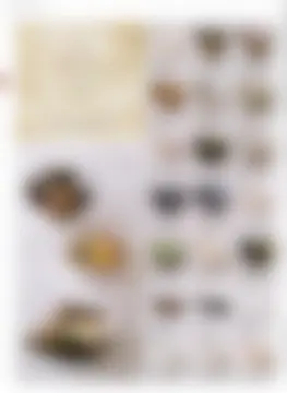 カタログページ MAGOKORO 37-136