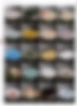 カタログページ MAGOKORO 37-214