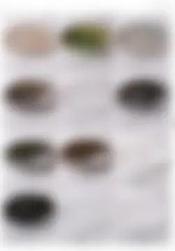 カタログページ MAGOKORO 37-241