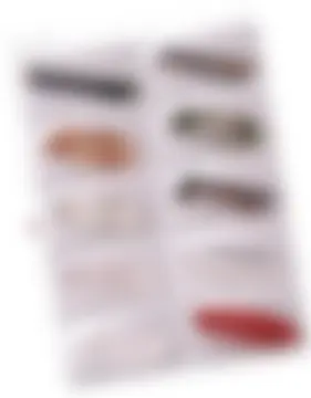 カタログページ MAGOKORO 37-254