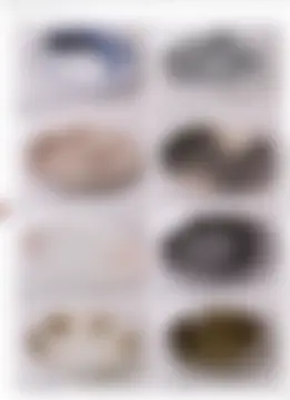 カタログページ MAGOKORO 37-256