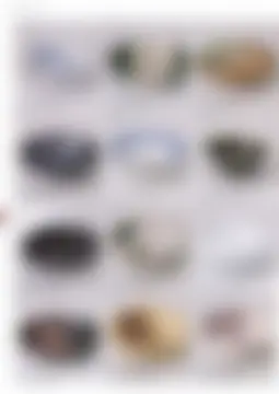 カタログページ MAGOKORO 37-266