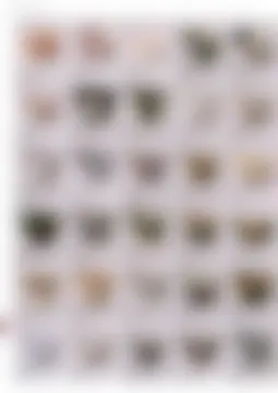 カタログページ MAGOKORO 37-316