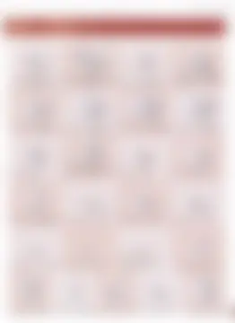 カタログページ MAGOKORO 37-363