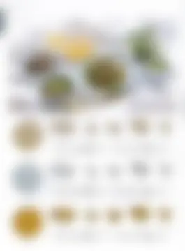 カタログページ MAGOKORO 37-374