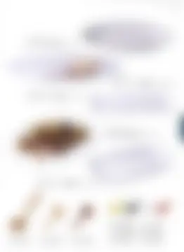 カタログページ MAGOKORO 37-411