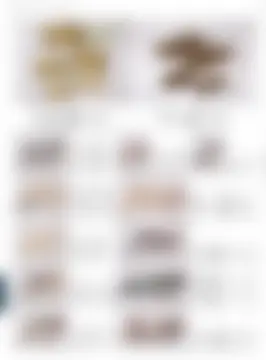 カタログページ MAGOKORO 37-460