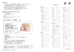 カタログページ Ceramic-AI 2026SS-02