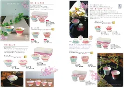 カタログページ Ceramic-AI 2026SS-06