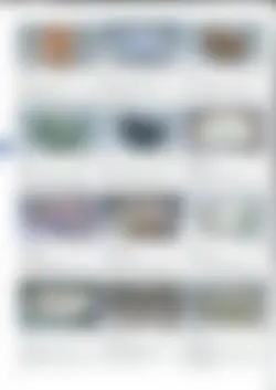 CAtalog page manyoushu2026-084