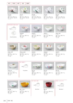 カタログページ Shinca 2025-2026-296