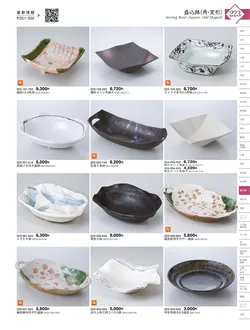 CAtalog page KIGURA vol.13-219