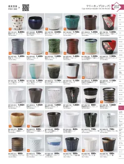 CAtalog page KIGURA vol.13-253