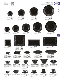 CAtalog page KIGURA vol.13-491