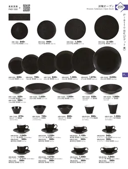 CAtalog page KIGURA vol.13-495