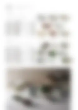 CAtalog page TOUJI_vol168-34