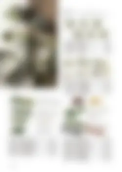 CAtalog page TOUJI_vol168-36