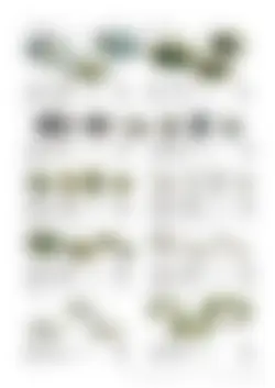 CAtalog page TOUJI_vol168-37