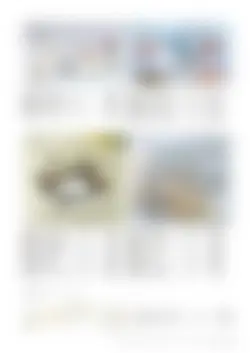 CAtalog page TOUJI_vol168-61