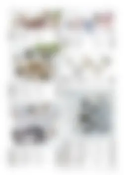 CAtalog page TOUJI_vol168-63