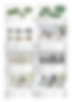 CAtalog page TOUJI_vol168-64