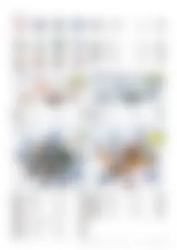 CAtalog page TOUJI_vol168-65