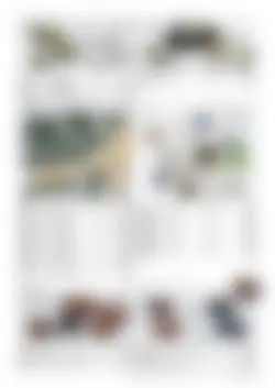 CAtalog page TOUJI_vol168-67