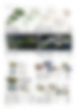 CAtalog page TOUJI_vol168-68