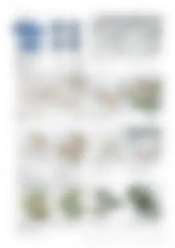 CAtalog page TOUJI_vol168-79