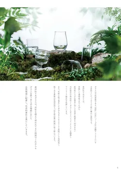 CAtalog page TSG2026-003