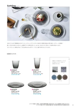 CAtalog page TSG2026-005