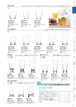 CAtalog page TSG2026-025