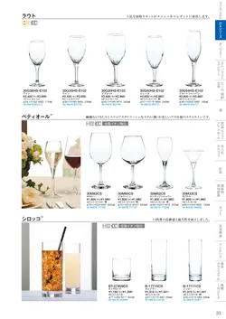 CAtalog page TSG2026-035