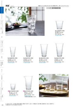 CAtalog page TSG2026-036