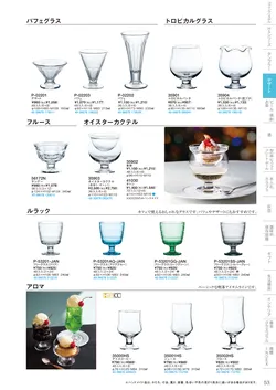 CAtalog page TSG2026-055