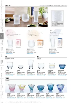 CAtalog page TSG2026-066