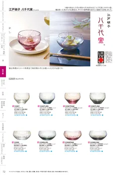 CAtalog page TSG2026-074