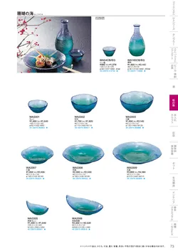 CAtalog page TSG2026-075