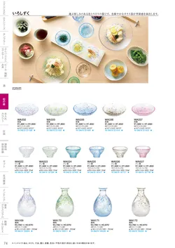 CAtalog page TSG2026-076