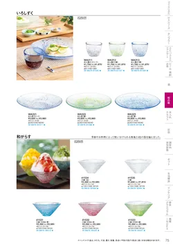 CAtalog page TSG2026-077