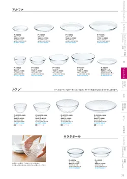 CAtalog page TSG2026-079