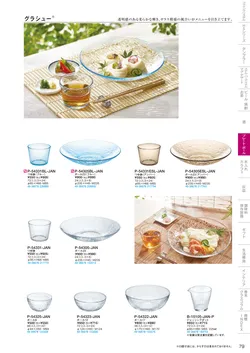 CAtalog page TSG2026-081